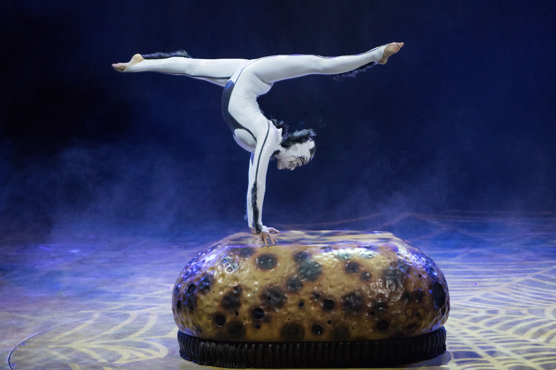 Great Eggspectations: Cirque Du Soleil’s Ovo