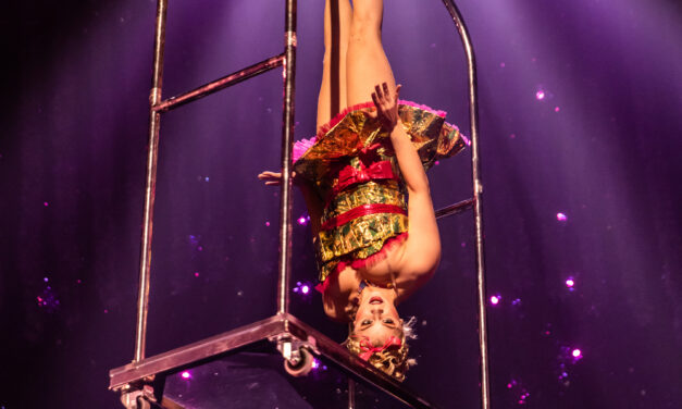 Cirque du Soleil ‘Twas the Night Before Christmas