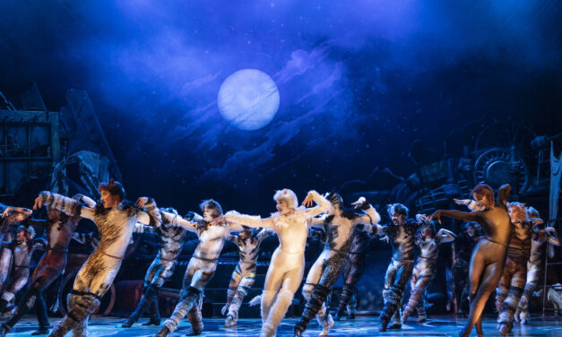 CATS will Pounce on Stage at Kravis Center